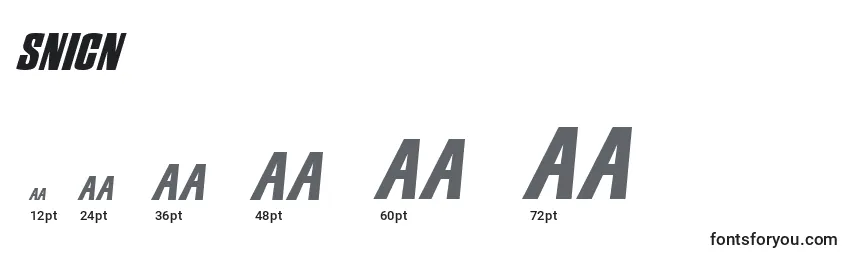 SNICN    (141289) Font Sizes