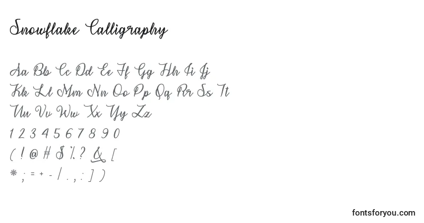 Czcionka Snowflake Calligraphy   – alfabet, cyfry, specjalne znaki