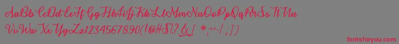 Snowflake Calligraphy   Font – Red Fonts on Gray Background