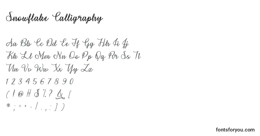 Czcionka Snowflake Calligraphy   (141301) – alfabet, cyfry, specjalne znaki