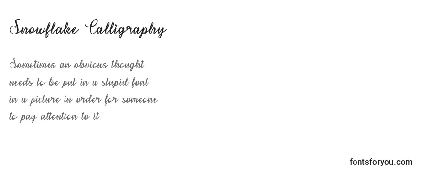 Snowflake Calligraphy   (141301)-fontti