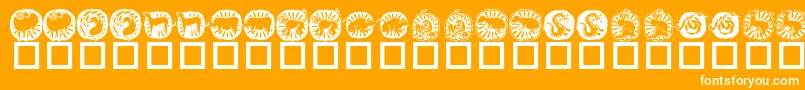 KrChineseZodiac-Schriftart – Weiße Schriften auf orangefarbenem Hintergrund