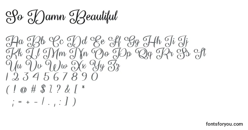 Schriftart So Damn Beautiful   – Alphabet, Zahlen, spezielle Symbole
