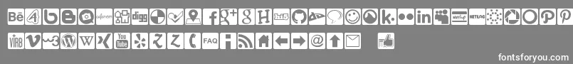 Social Icons Pro Set 1   Rounded-Schriftart – Weiße Schriften auf grauem Hintergrund