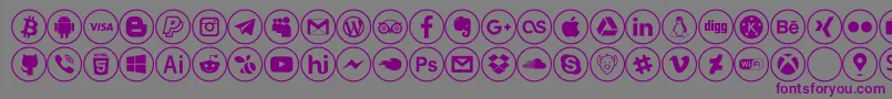 social media-Schriftart – Violette Schriften auf grauem Hintergrund