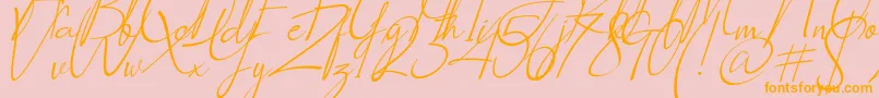 Socialitta Italic Font – Orange Fonts on Pink Background