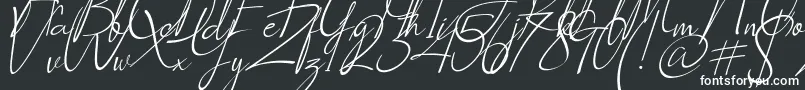 Шрифт Socialitta Italic – белые шрифты на чёрном фоне