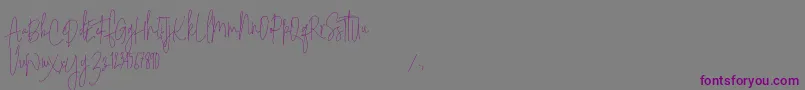 Шрифт Sodera Personal Use   Copy – фиолетовые шрифты на сером фоне