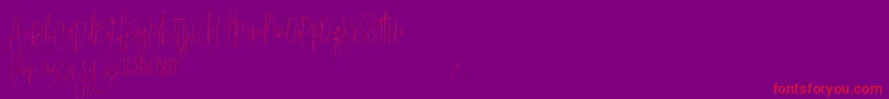 Sodera Personal Use   Copy Font – Red Fonts on Purple Background