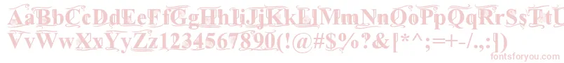 TimesOldAttic Font – Pink Fonts