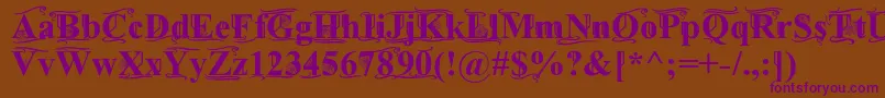 TimesOldAttic Font – Purple Fonts on Brown Background