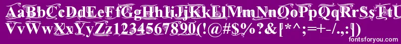 Weitere Informationen zur TimesOldAttic-Schriftart TimesOldAttic-Schriftart – Weiße Schriften auf violettem Hintergrund