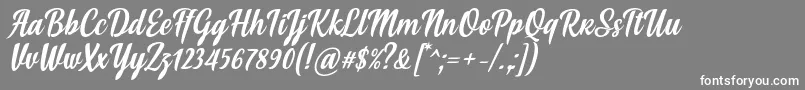 フォントSoe Font by Situjuh 7NTypes – 灰色の背景に白い文字