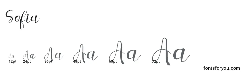Размеры шрифта Sofia
