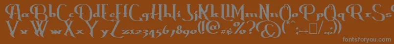 Lisätietoja Erasmus-fontista Erasmus-fontti – harmaat kirjasimet ruskealla taustalla