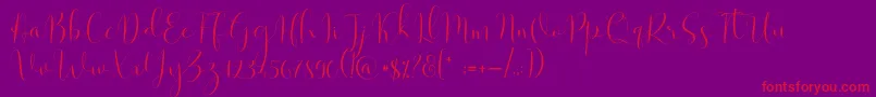 Solidar Light-Schriftart – Rote Schriften auf violettem Hintergrund