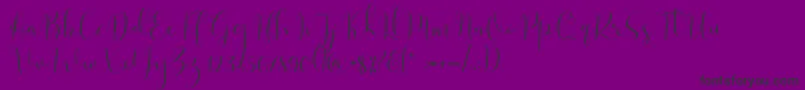 フォントSolidar Light – 紫の背景に黒い文字