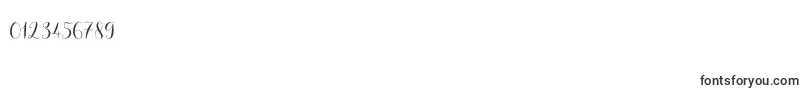 Solidar Light Font – Fonts for Numbers and Digits