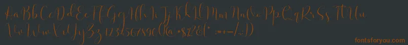 Solidar Light Font – Brown Fonts on Black Background