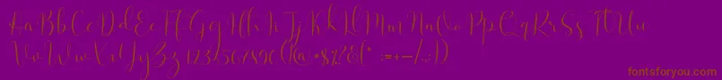 Solidar Light Font – Brown Fonts on Purple Background
