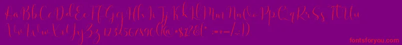 Solidar Light-Schriftart – Rote Schriften auf violettem Hintergrund