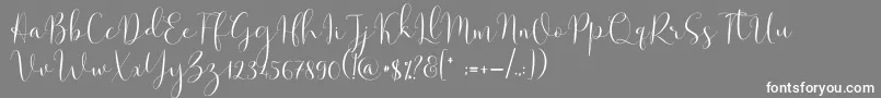 フォントSolidar Light – 灰色の背景に白い文字