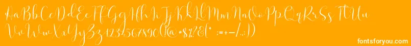 Solidar Light Font – White Fonts on Orange Background