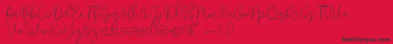 フォントSolidar Monoline Light – 赤い背景に黒い文字