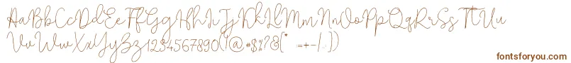 Solidar Monoline Light Font – Brown Fonts on White Background
