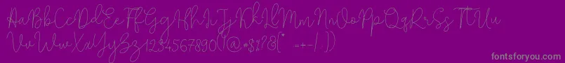 Solidar Monoline Light-Schriftart – Graue Schriften auf violettem Hintergrund