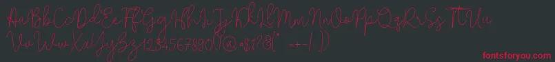 Solidar Monoline Light Font – Red Fonts on Black Background