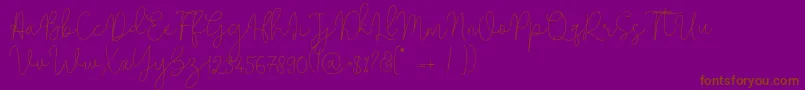 Solidar Monoline Light-Schriftart – Braune Schriften auf violettem Hintergrund