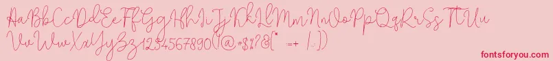 Solidar Monoline Light Font – Red Fonts on Pink Background
