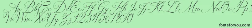 フォントSolidaritha Script – 緑の背景に黒い文字
