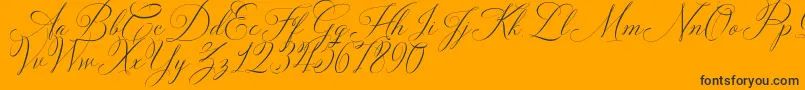 Шрифт Solidaritha Script – чёрные шрифты на оранжевом фоне