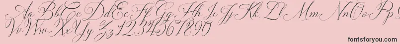 Solidaritha Script-fontti – mustat fontit vaaleanpunaisella taustalla