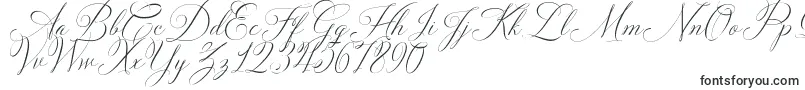 Czcionka Solidaritha Script – czcionki kaligraficzne