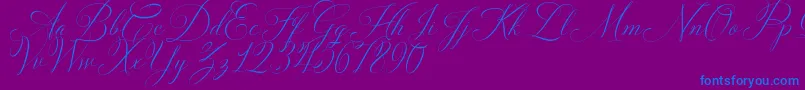 フォントSolidaritha Script – 紫色の背景に青い文字