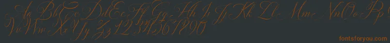 Solidaritha Script-fontti – ruskeat fontit mustalla taustalla