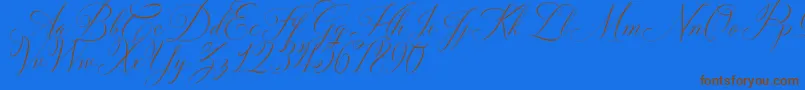 Czcionka Solidaritha Script – brązowe czcionki na niebieskim tle