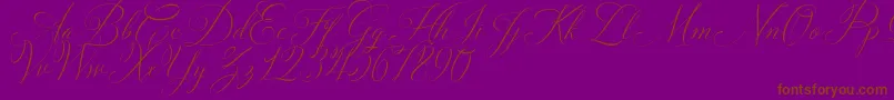 Solidaritha Script-fontti – ruskeat fontit violetilla taustalla