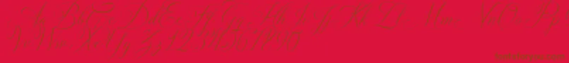 Czcionka Solidaritha Script – brązowe czcionki na czerwonym tle
