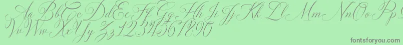 Solidaritha Script-Schriftart – Graue Schriften auf grünem Hintergrund