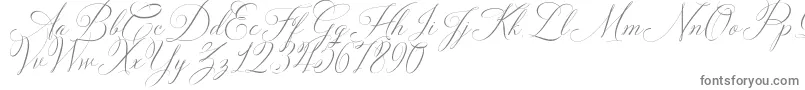 Solidaritha Script Font – Gray Fonts