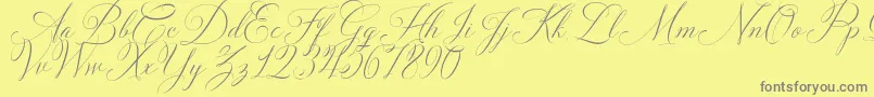 フォントSolidaritha Script – 黄色の背景に灰色の文字