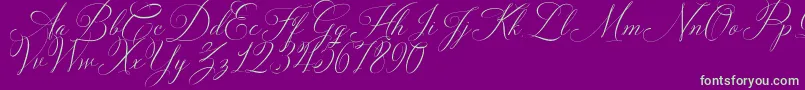 Solidaritha Script-fontti – vihreät fontit violetilla taustalla