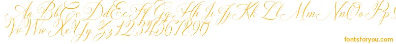 Solidaritha Script Font – Orange Fonts
