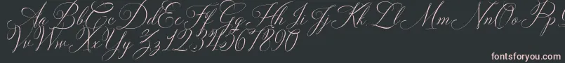 Solidaritha Script-fontti – vaaleanpunaiset fontit mustalla taustalla