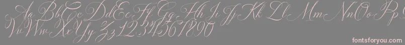Solidaritha Script-fontti – vaaleanpunaiset fontit harmaalla taustalla