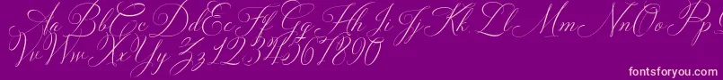 Solidaritha Script-Schriftart – Rosa Schriften auf violettem Hintergrund